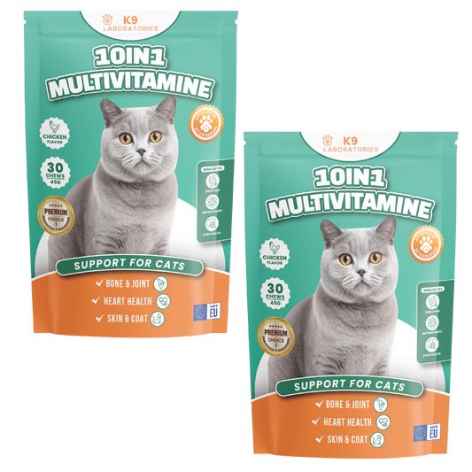 10in1 Multivitamine set aus 2