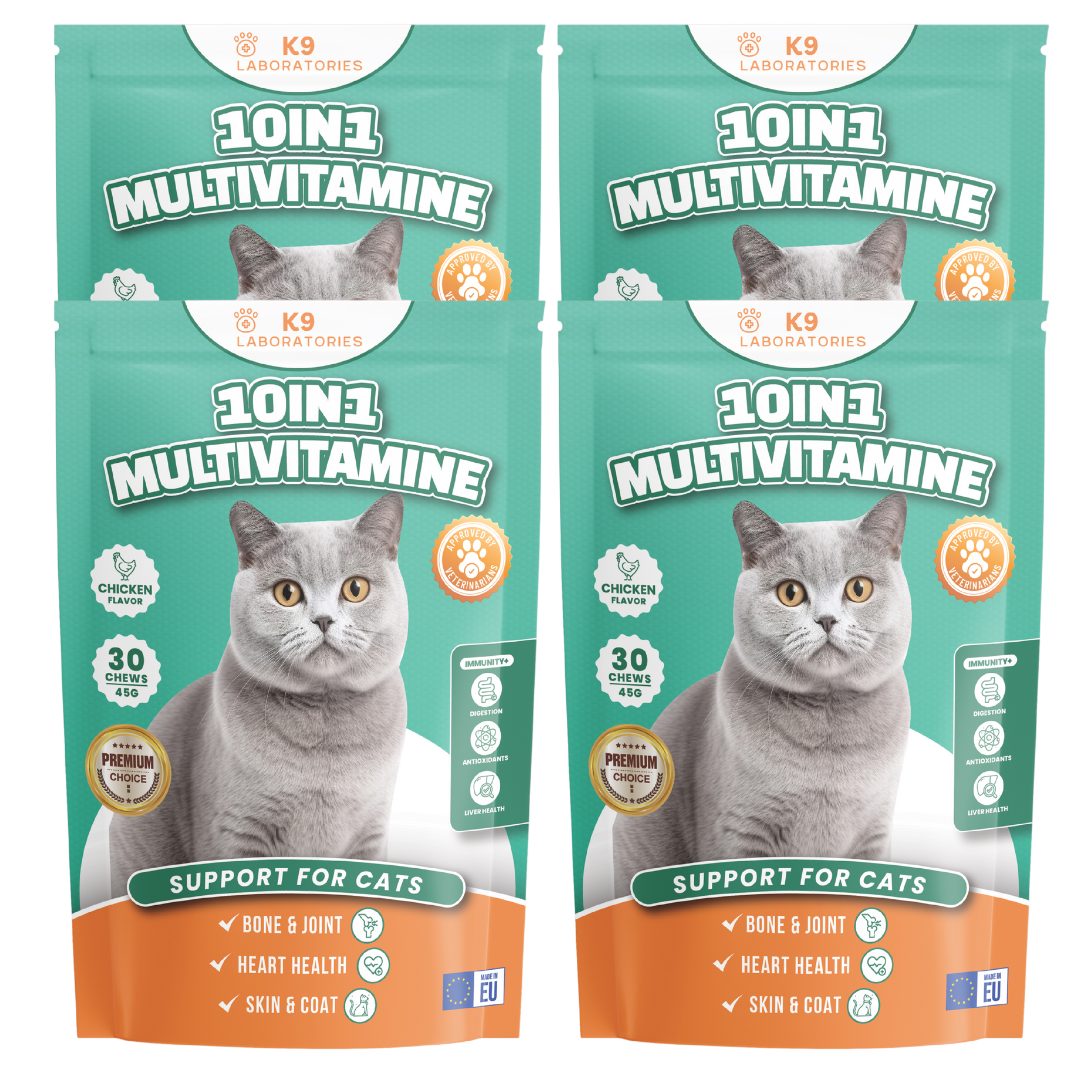 10in1 Multivitamine set aus 4