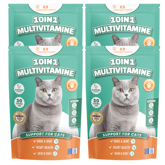 10in1 Multivitamine set aus 4
