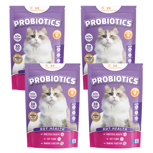 Probiotica set aus 4