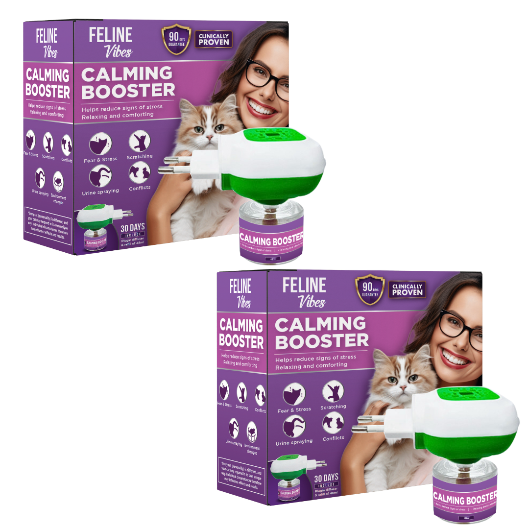 Calming diffuser set aus 2