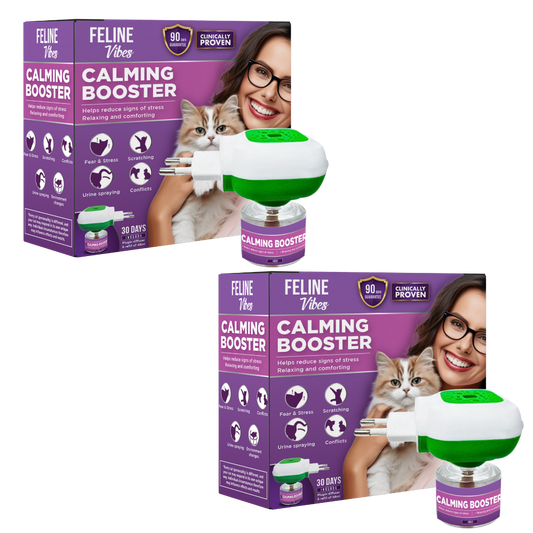Calming diffuser set aus 2