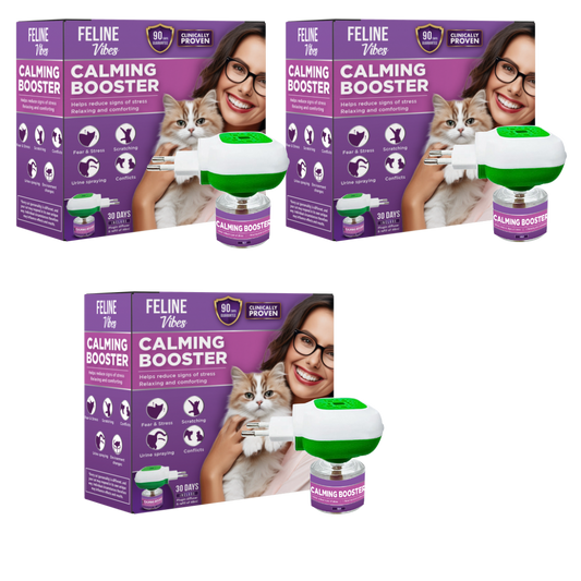 Calming diffuser set aus 3