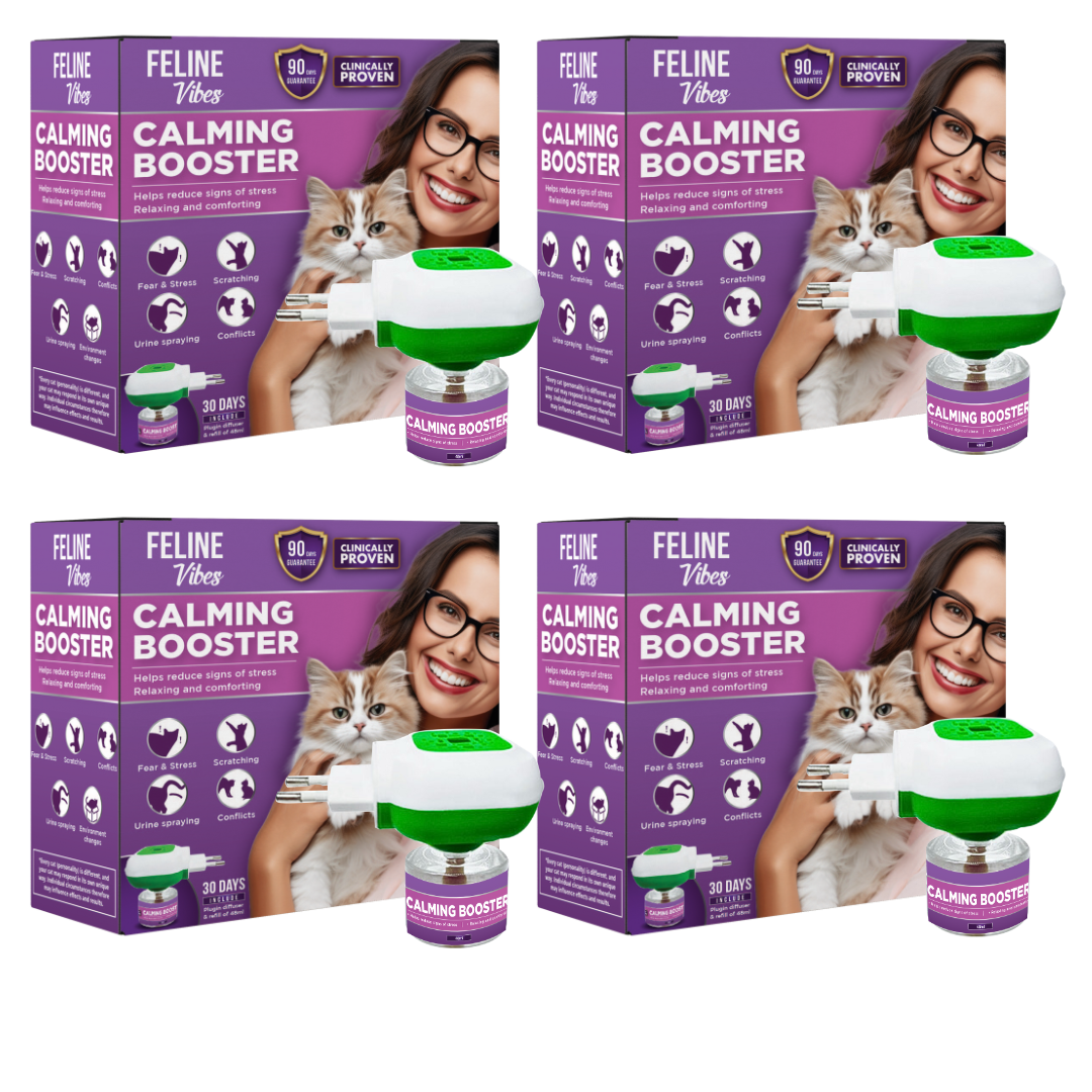 Calming diffuser set aus 4