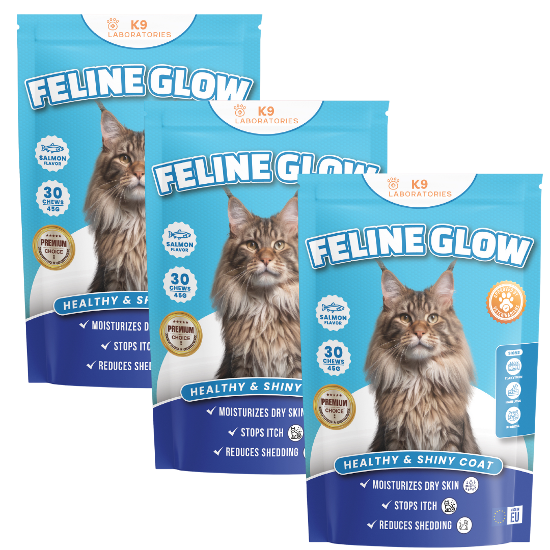 Feline Glow set aus 3