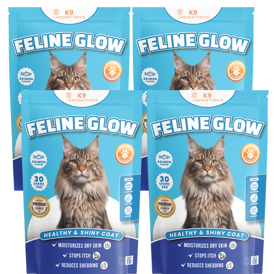 Feline Glow set aus 4