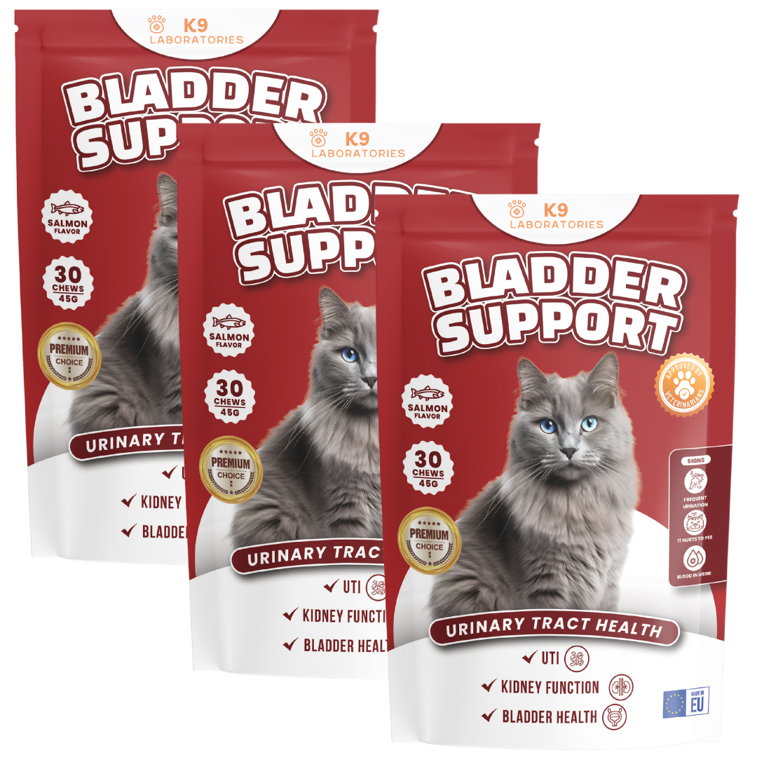Bladder support