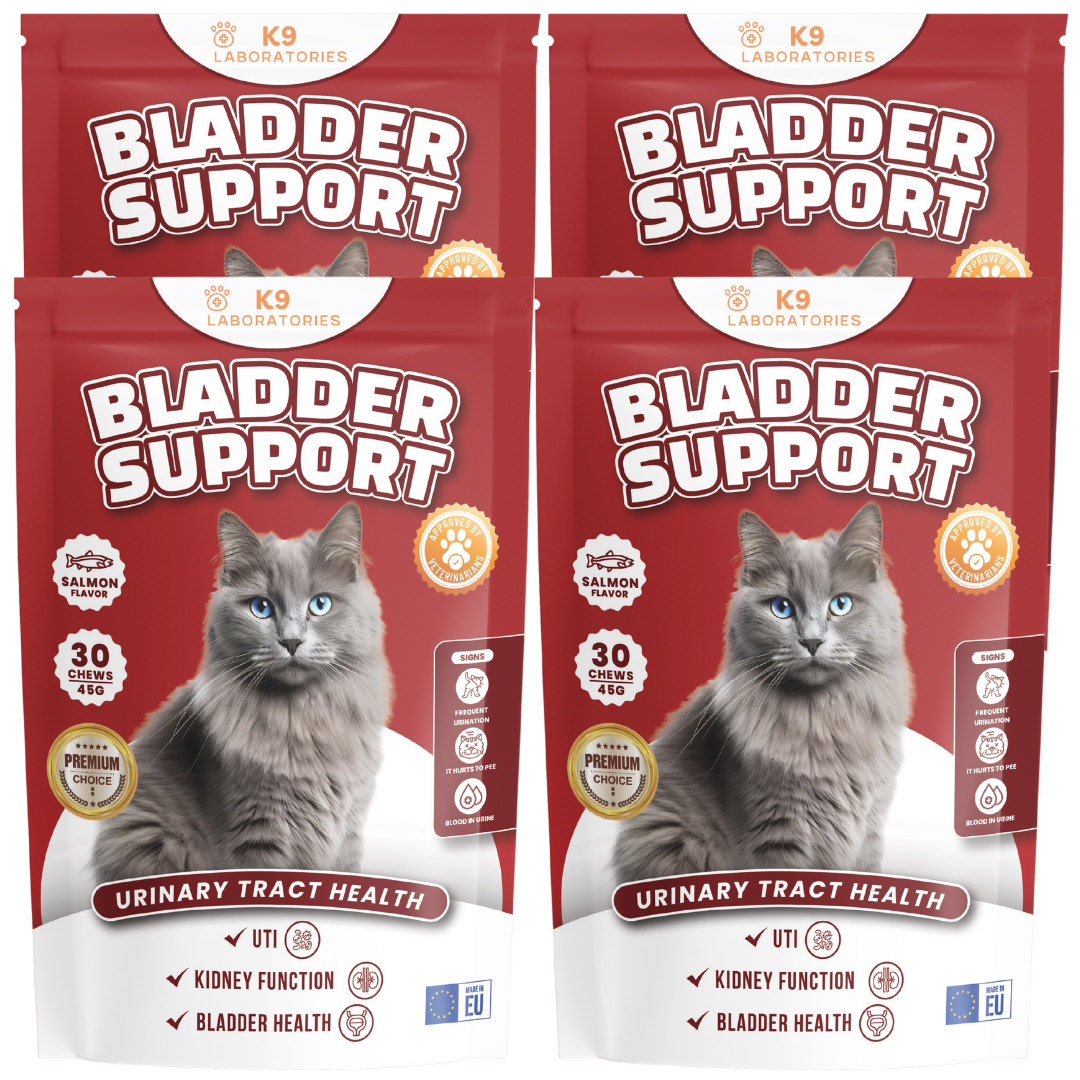 Bladder support set aus 4