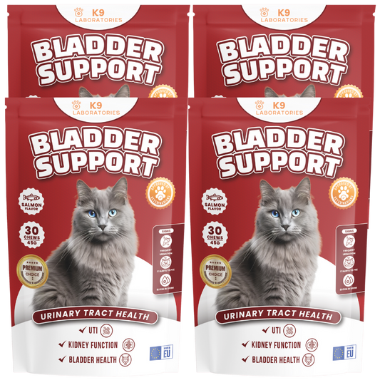 Bladder support set aus 4