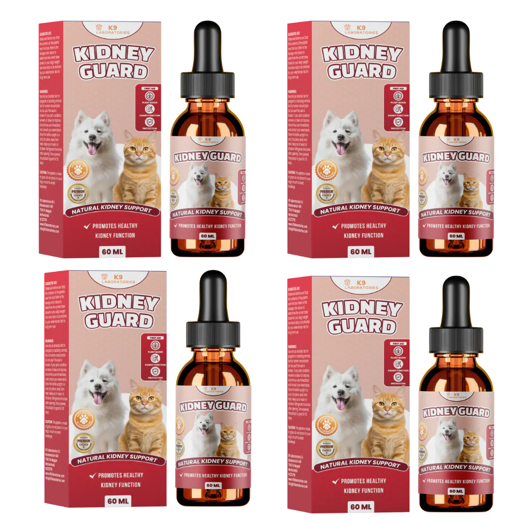 Kidney Guard set aus 4