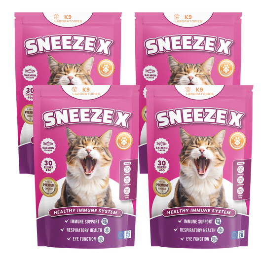 SneezeX set aus 4