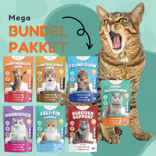 Mega-Bundle-Paket