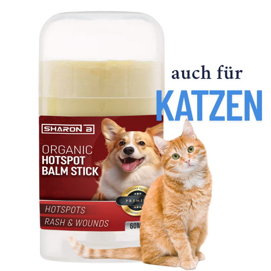 Hotspot Stick 60 ml