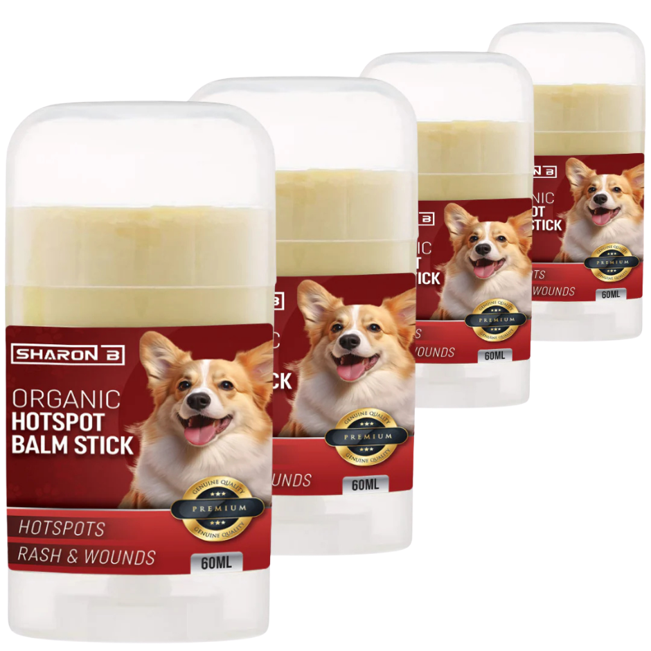 Hotspot Stick 60 ml set aus 4