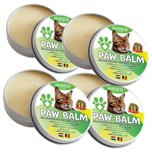 Pfotenbalsam set aus 4